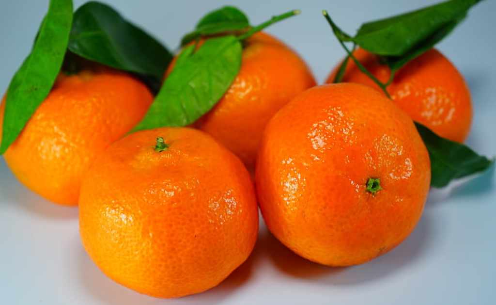 are-oranges-good-for-diabetics-magic-kitchen